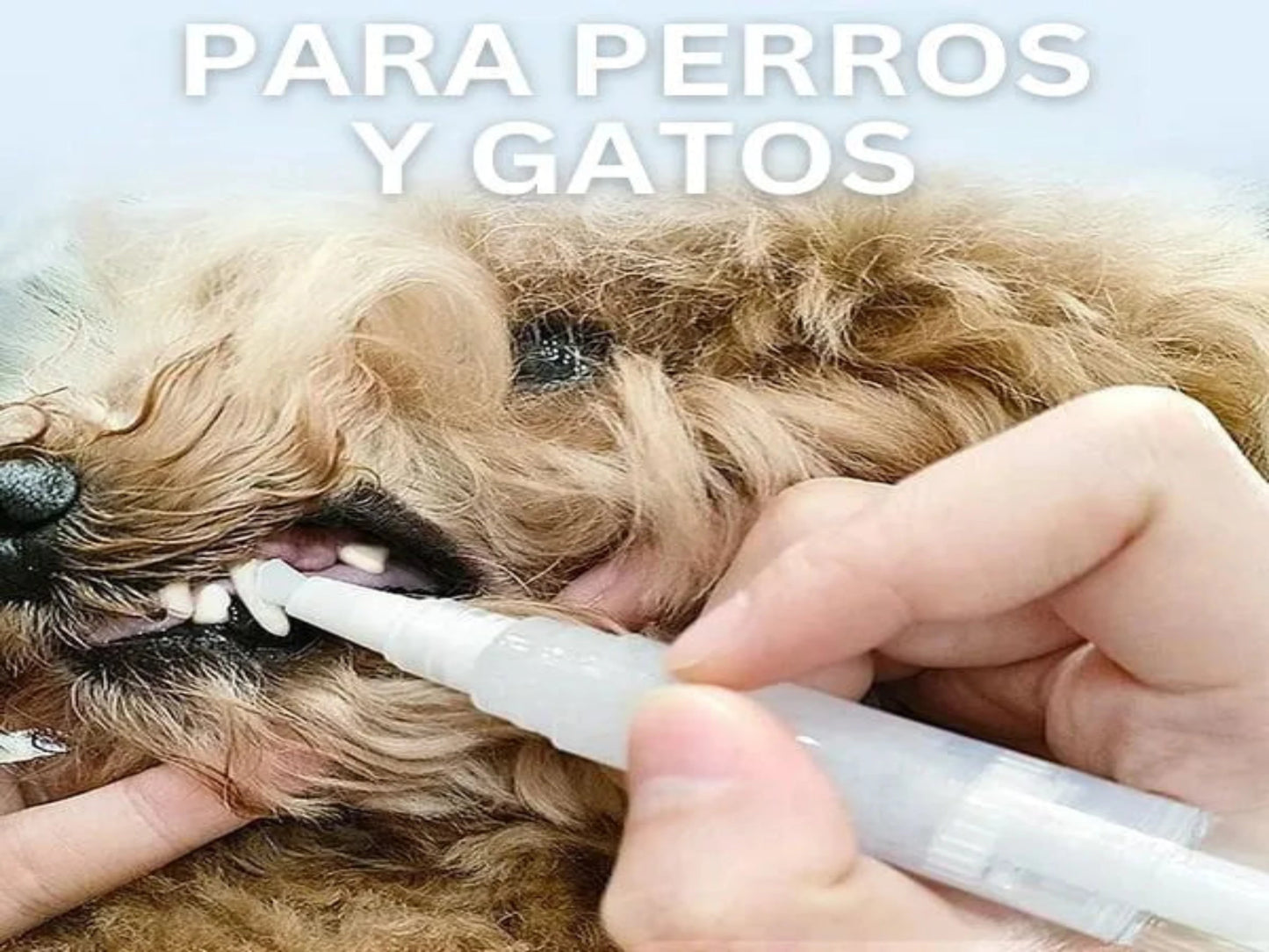 CEPILLO DE DIENTES PARA MASCOTAS